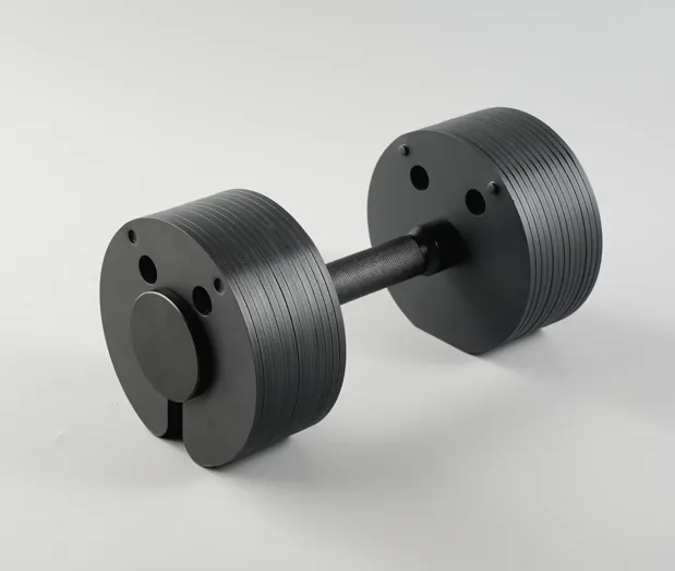 New Style Insert Type Adjustable Steel Dumbbell Detachable Professional Gym Fitness Insert Square Decagon Dumbbell Free Weight