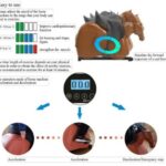 Transform your routine with the ultimate horseback riding fitness machine. Strengthen your core, improve balance, and get a full-body workout in the comfort of your home. Discover a fun and effective way to achieve your fitness goals. Get started today!